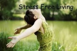 stress free